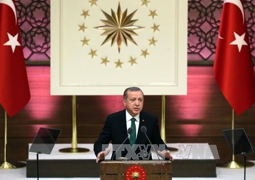 Türkei betont Ziel der militärischen Angriffe in Syrien - ảnh 1
